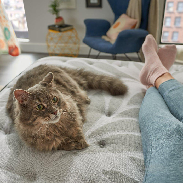 Dantley Innerspring Mattress