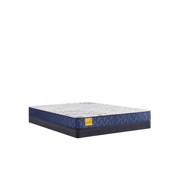 Erie Foam Mattress