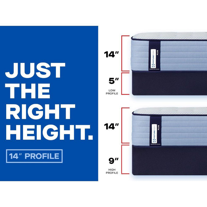 Plainfield Spring Mattress